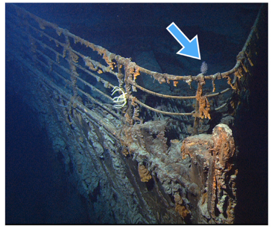 J Murray Roberts tweet media