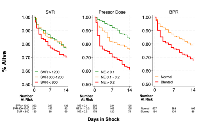 Circ: Heart Failure tweet media