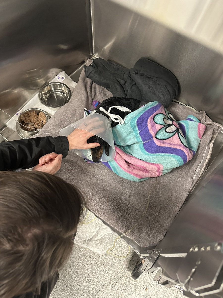 StefanieGD⚔️ tweet media