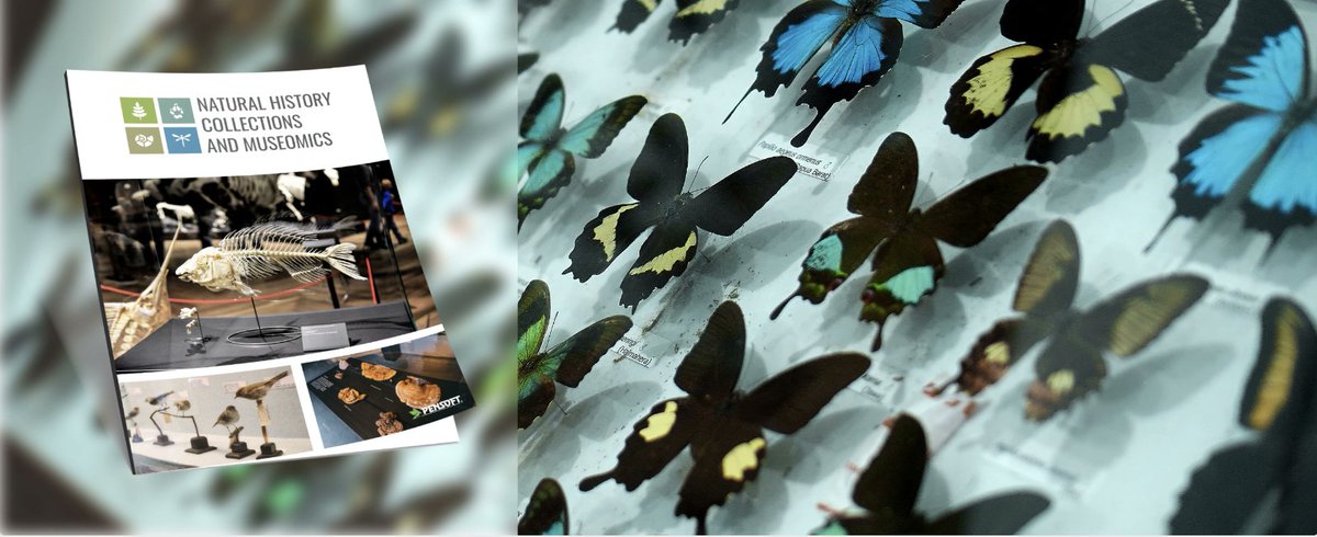 Big news for the taxonomic community! <a href="/Pensoft/">Pensoft</a>
has launched <a href="/NHCMjournal/">NHCMjournal</a>, a new open-access publication highlighting the vital role of #taxonomy and natural history collections in biodiversity research and conservation🦋 Find out more 👉cetaf.org/elementor-1085…