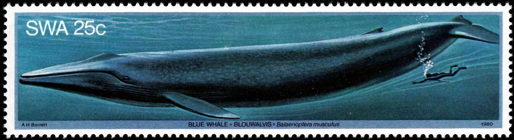 StampsBot's tweet image. 