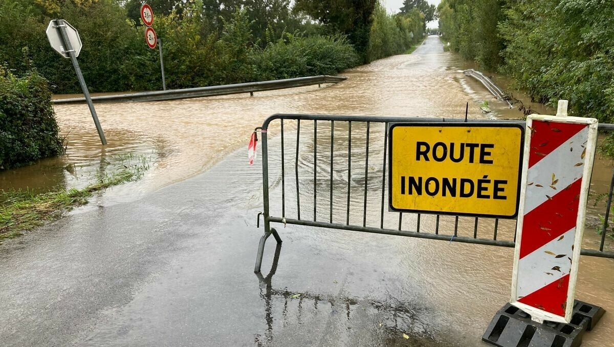 iciorleans's tweet image. Intempéries : le Loiret passe en vigilance orange pour pluie et inondation
➡️ l.francebleu.fr/FzMJ
