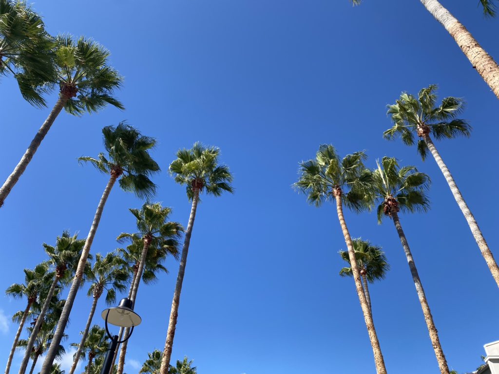 AmyPClause's tweet photo. We’ve enjoyed the 2024 Parents as Teachers International Conference in San Diego! 🏝️☀️⚓️ #PATCON2024 https://t.co/PdaaV0miFa