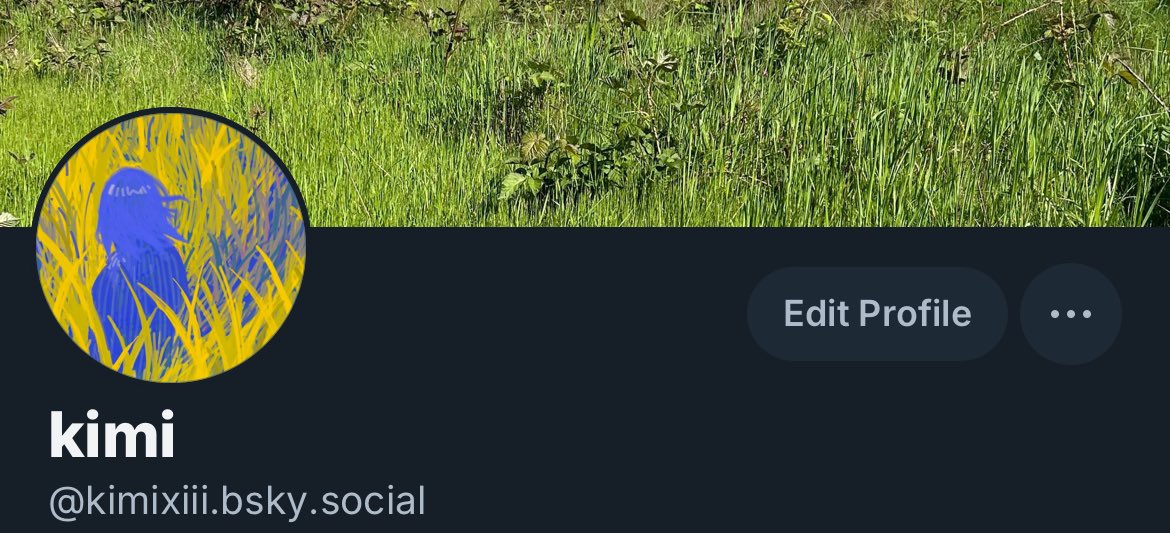 Lmao quick reminder I’m over on 🦋 app 
I’m also slowly going thru my sketchbook and scanning everything I’ve drawn and I’ll be posting that on there too haha 
bsky.app/profile/kimixi…