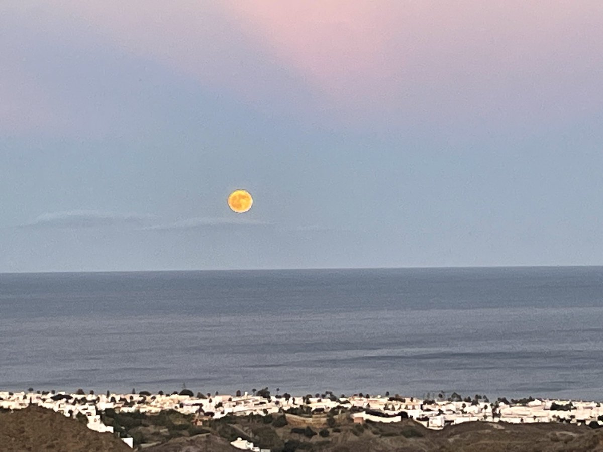 Rooftopvegplot's tweet image. Harvest mood just now.  MOJACAR Spain