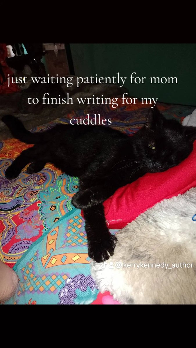 HKCC040616's tweet photo. Jz is my super senior cat, the eldest of four. He's always close when I'm writing and has been with me since my debut, Dakota. He's such a patient gentleman ππ
#indieauthor ##booktok #cats #blackcats #writingbuddy https://t.co/7Y7u0lO5tm