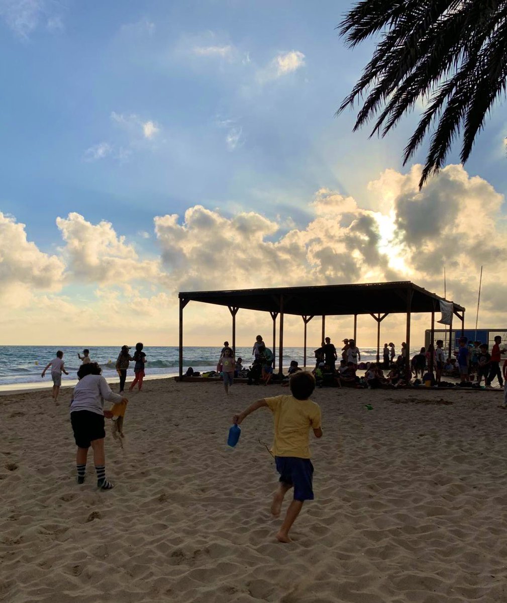 Escola Ítaca tweet media