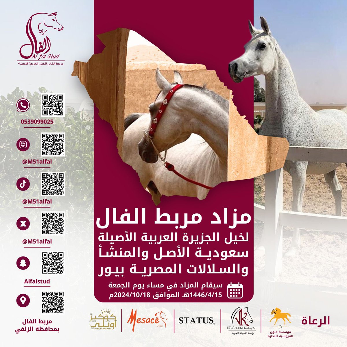 m51alfal's tweet photo. غداً بإذن الله موعدنا .. https://t.co/S42GZ2pMse