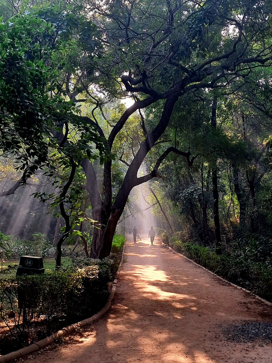 Autumn morning in Delhi