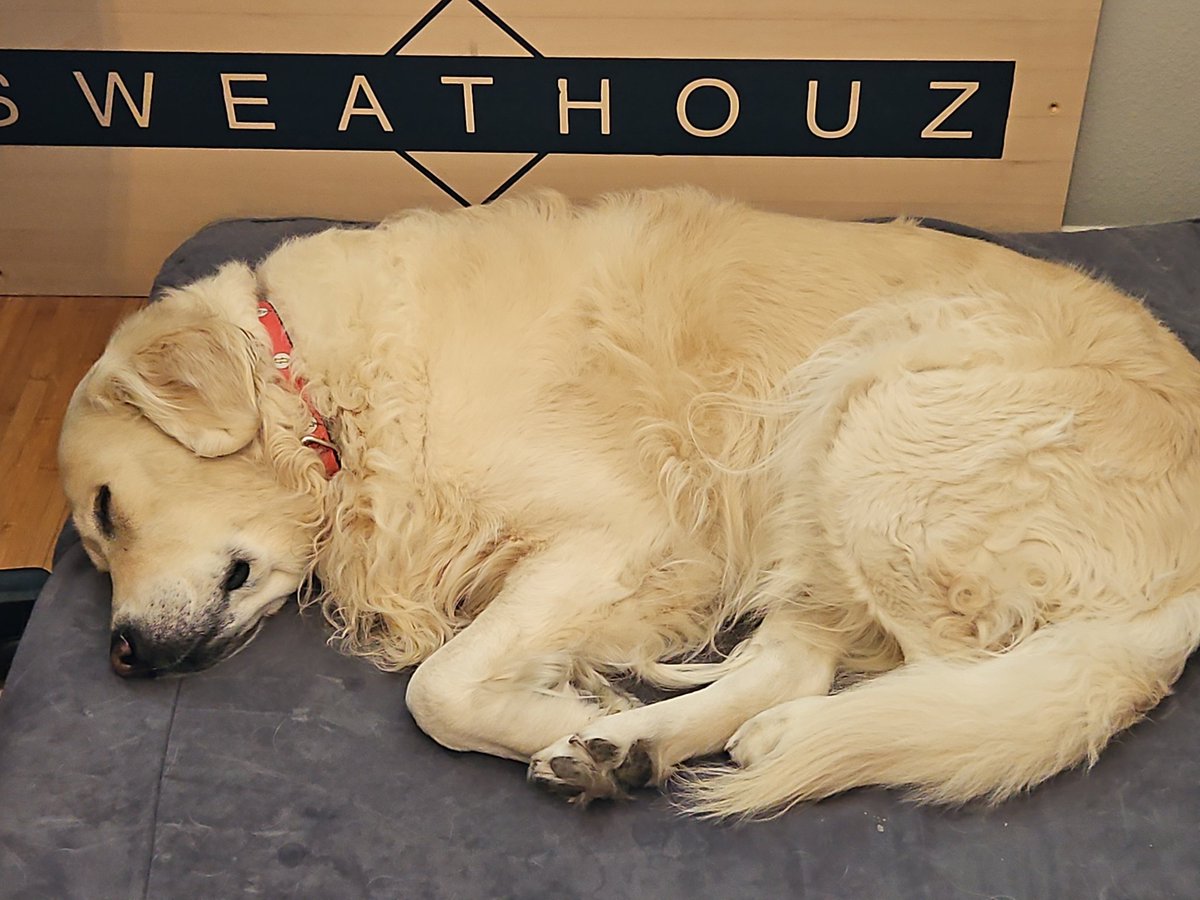 Always nice to work with a true sleeping prince.