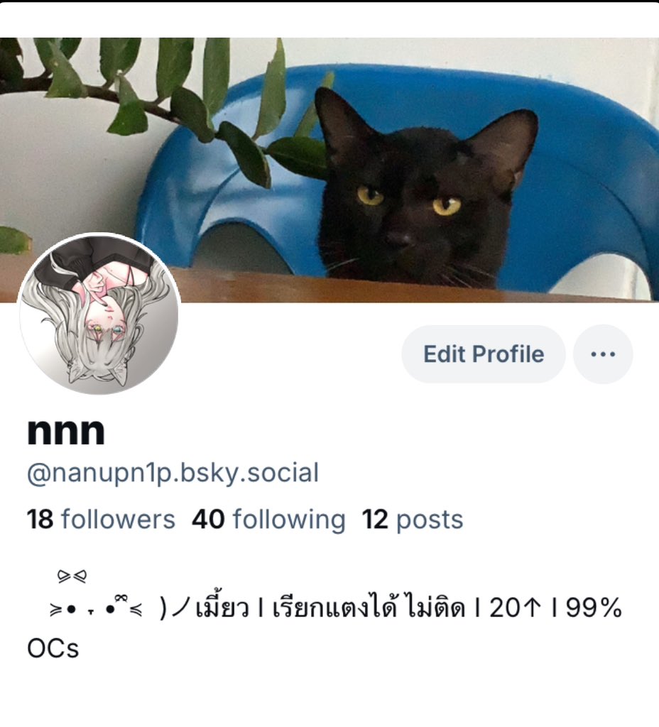 nnn. (รับกรรมเป็นนางธีสิส) tweet media