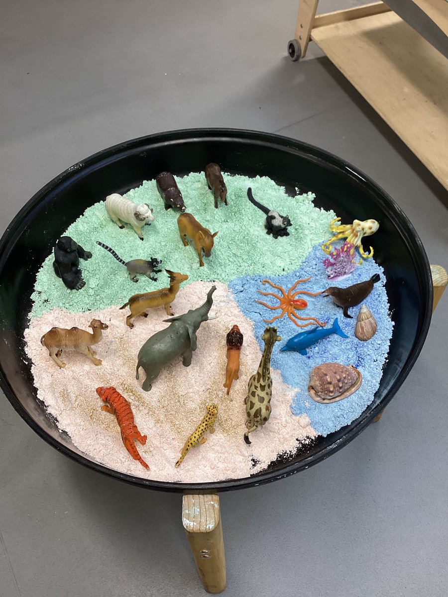 Little Learners tweet media