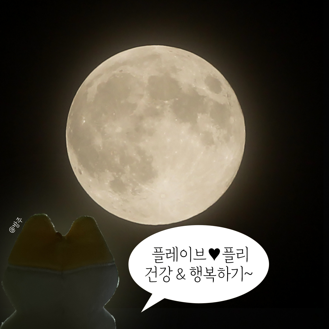 Bangzoo_P's tweet photo. 달에 소원 빌어주는 다정한 아이돌들 때문에
다시 찍고 돌아왔다🌕
플레이브는 플리랑 평생 행복하기💙💜💗❤️🖤 https://t.co/Jqkf8ygYFY