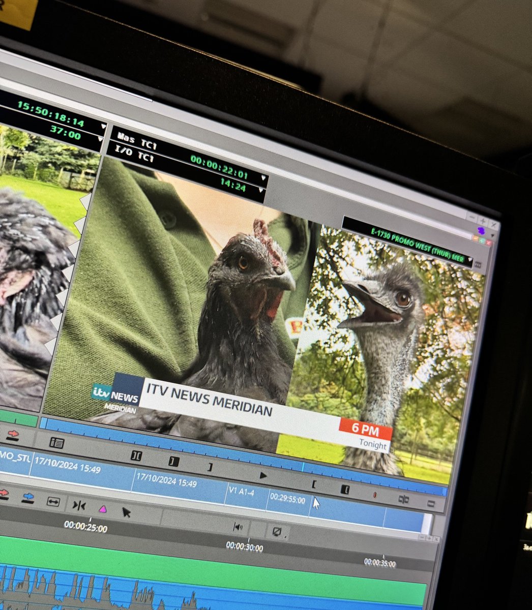 ‘Beaking news’ on <a href="/itvmeridian/">ITV News Meridian</a> tonight