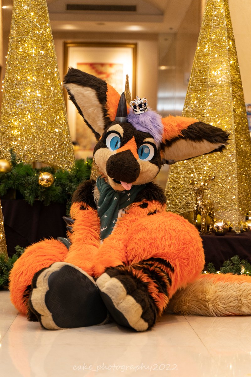 Fallkui's tweet photo. #身長と体重と年齢晒す見た人もだよー 

158/50/35

#FursuitFriday 

📸: @cake_0424 https://t.co/Uyt8m4DxNk