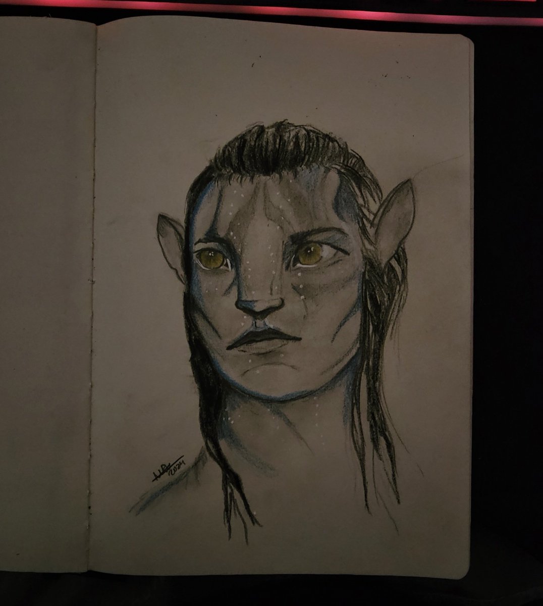 LostPandan's tweet photo. Another drawing! Did a short stream and drew this guy. I've been loving using pencils again atm and practicing my skills, so enjoy this one! 

#Pencildrawing #pencil #art #traditionalart #Paper #avatar #jakesully  #pencilart https://t.co/5wM86JfCds