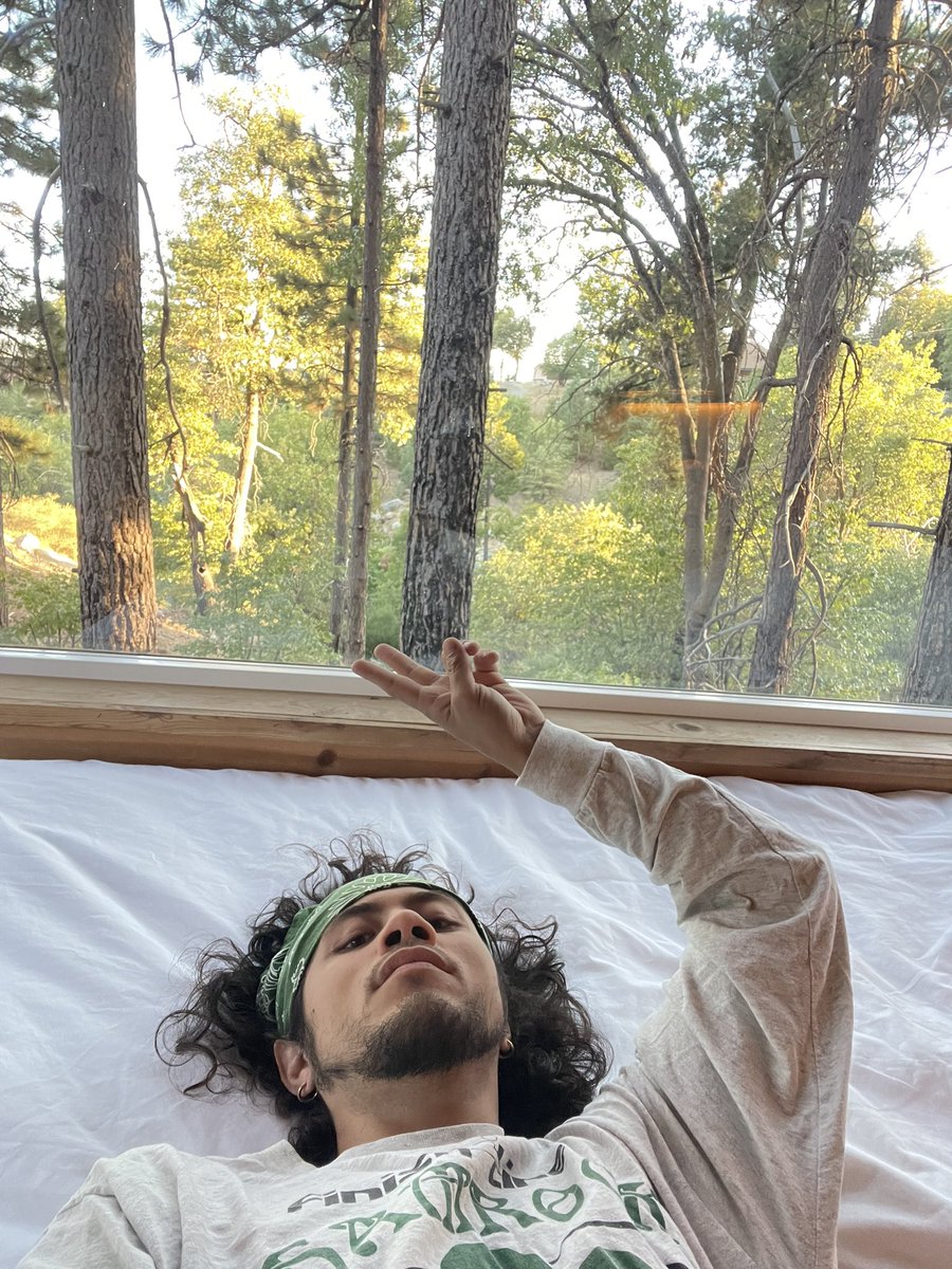 JayDeclet's tweet photo. wake up, make some coffee, see some trees, and play The Shire song from Lord Of The Rings https://t.co/CZyN92zZxo