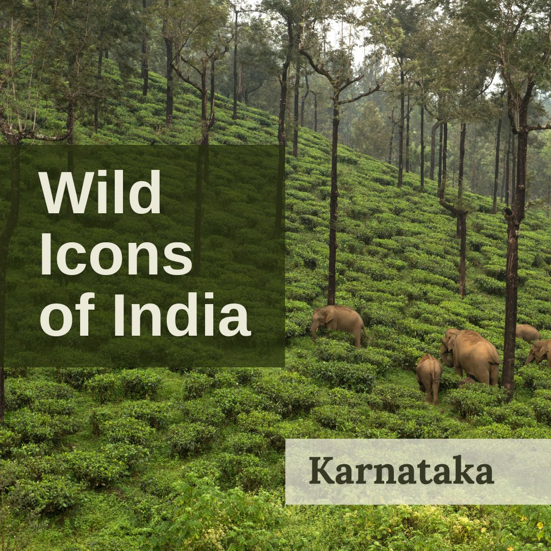 Nature inFocus tweet media