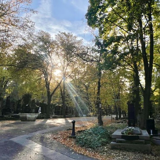 ❗️Správa pražských hřbitovů nabízí placenou brigádu na hrabání listí. Máte zájem? Ozvěte se na tel.: 272 011 132 nebo 723 260 189, e-mail: cestrova@hrbitovy.cz.

🔴Nástup: okamžitě, až do 1. 11. 2024
🔴Nabízejí: 130/hod. 
🔴Smlouva: DPP
🔴Pracovní doba: od 7.00 do 14.00