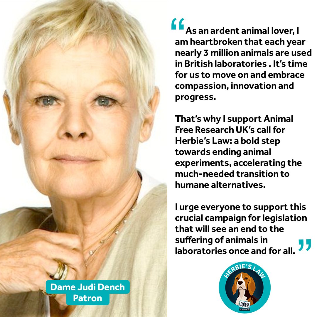 Dame Judi Dench, our wonderful Patron, supports our call for #HerbiesLaw

Herbie’s Law is more than just a promise to the British public; it represents a profound commitment in law to a brighter future for both people and animals. 

animalfreeresearchuk.org/herbies-law

#HerbiesHeroes