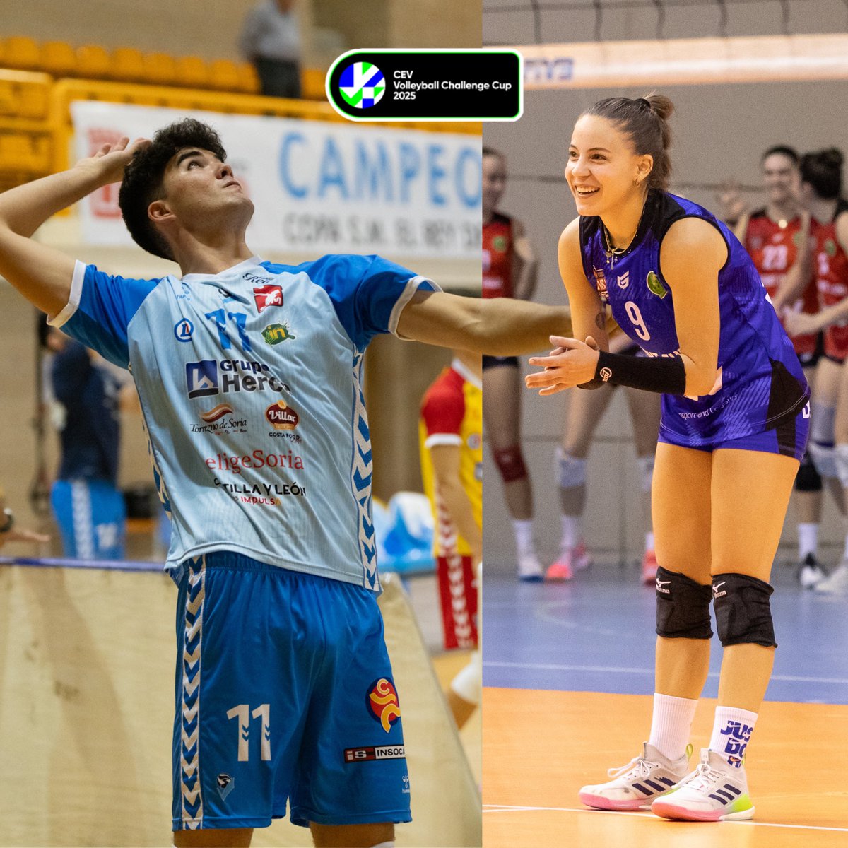 🇪🇺 El vòlei balear viu les dues cares de la moneda a la #CEVChallengeCup.

✅ La manacorina <a href="/Gomii_8/">Gomi</a> aconsegueix la classificació als 1/16 de final.

❌ L'eivissenc Moisés Rodrigo s'acomiada del torneig continental en caure als 1/32 de final.

🗞️ voleibolib.net/noticia?id=153…