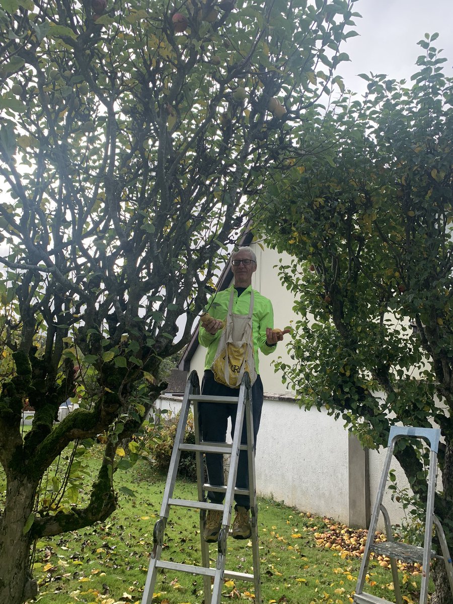 fallingfruit_ie's tweet photo. 🍎Ardee apples today thanks to Mary Scully who shared her rich harvest for local charities. Picking by Meath man, Dermot, and Bernie Me! Charity Ardee Hospice Homecare. Dermot delivered several kilos to Back Into Daylight Animal Sanctuary. Huge thanks to all involved 🍎💚🍎 https://t.co/IfqZEbRsTx