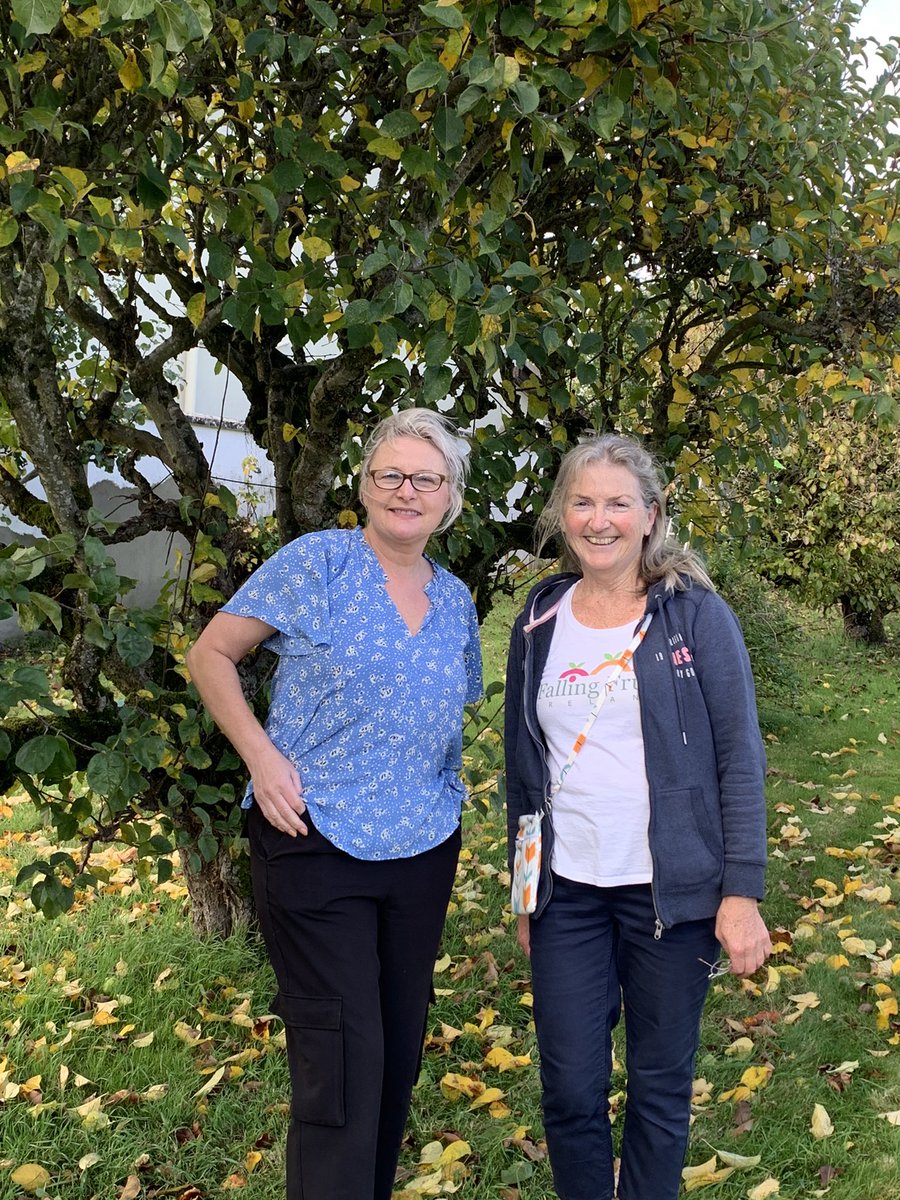 🍎Ardee apples today thanks to Mary Scully who shared her rich harvest for local charities. Picking by Meath man, Dermot, and Bernie Me! Charity Ardee Hospice Homecare. Dermot delivered several kilos to Back Into Daylight Animal Sanctuary. Huge thanks to all involved 🍎💚🍎