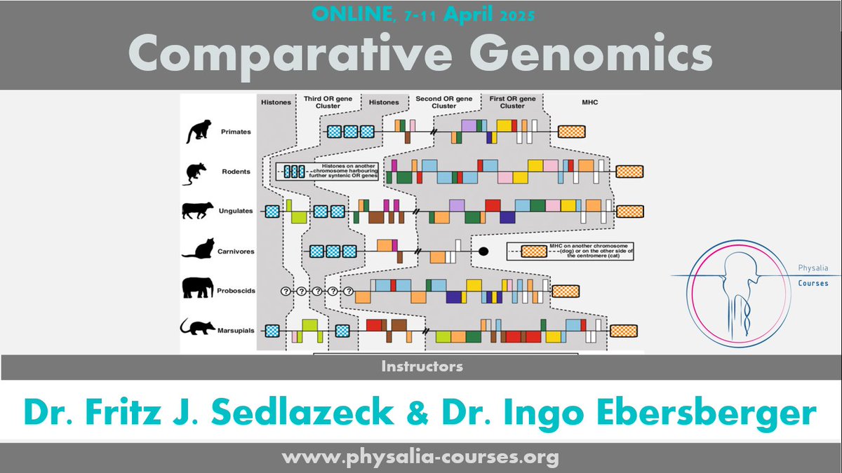 Physacourses's tweet photo. 🚀 Ready to dive into the world of #ComparativeGenomics? Join our course with @sedlazeck & @IEbersberger to master genome assembly, and variant analysis (SNVs & SVs), and explore their evolutionary impacts! andDon’t miss out! 🧬
📎https://t.co/tm9fZkUcKq https://t.co/uttD8YDOJ9