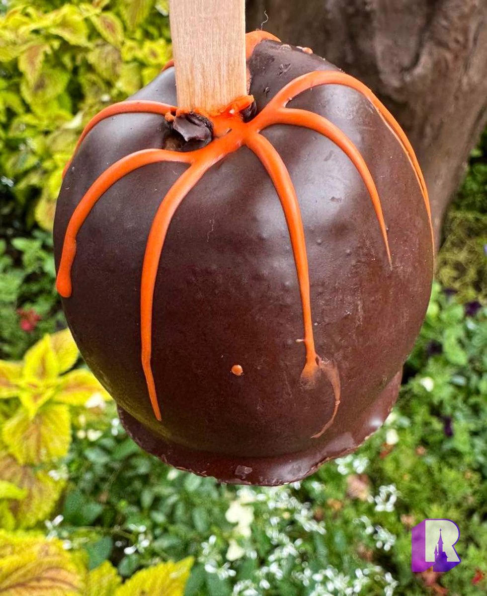 DLPReport's tweet photo. 🎃 “Choco Trick on a Stick” chocolate covered apple (€6.50, Frontierland kiosks and Arbre Enchanté). It’s pretty good! https://t.co/yLartTVr0o