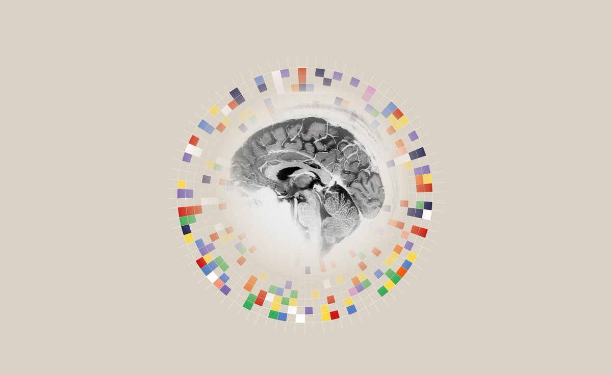 Article published in Nature Methods !

The scientific article about first in vivo human brain images acquired at 11.7T is finally published in Nature Methods (Oct 2024). 

More details here : nature.com/articles/s4159… and editorial nature.com/articles/s4159…