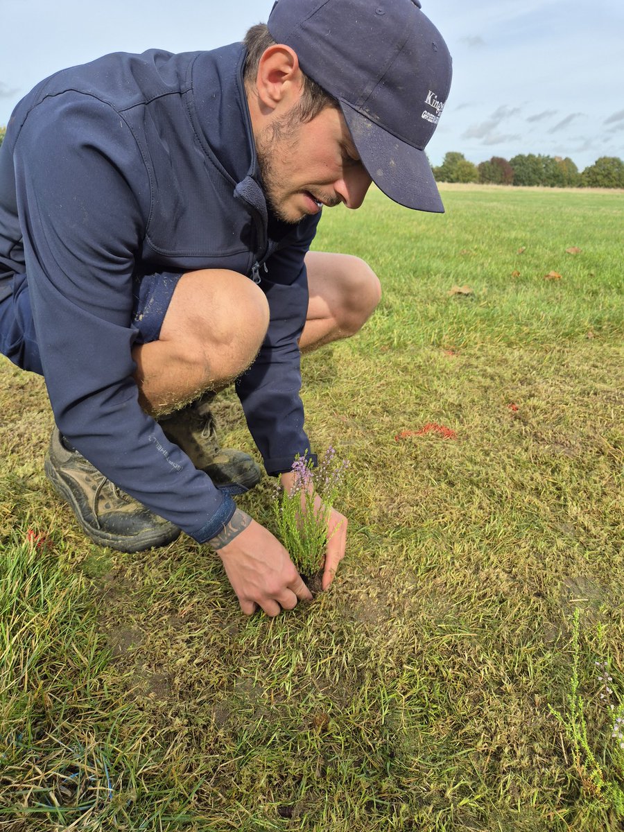 Michael Sparke tweet media