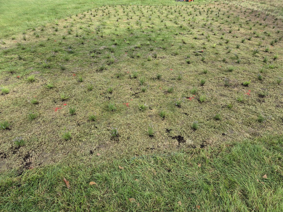 Michael Sparke tweet media