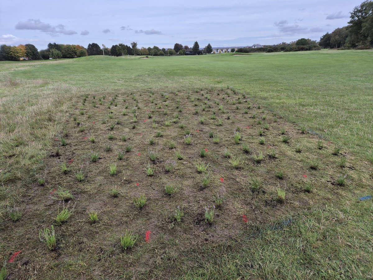 Michael Sparke tweet media