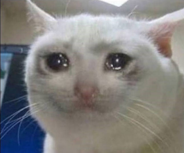 XarddOfficial's tweet image. I don&apos;t go to KFC🍗🍟🍔 because I buy $JURIS.
#LUNC #LUNCCCOMMUNITY #JURIS #Crypto