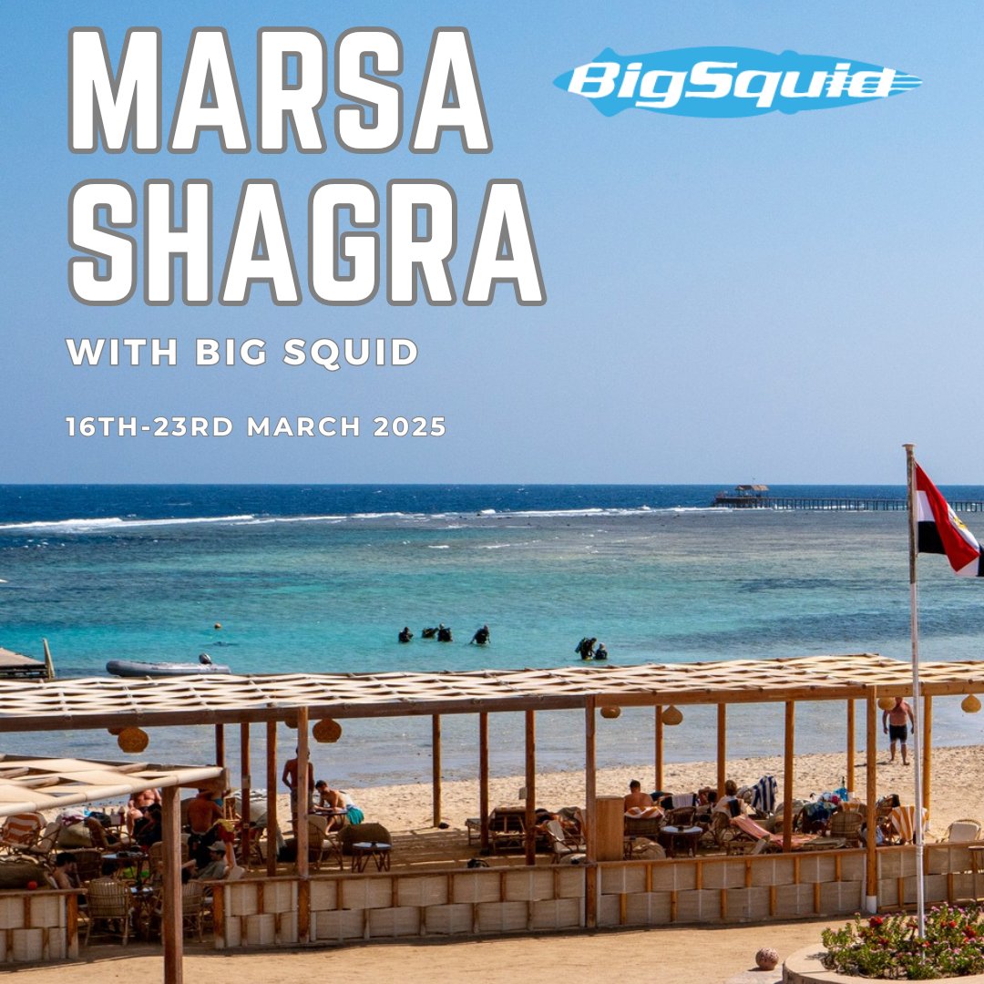 Join Big Squid on our trip to Marsa Shagra on the 16th March 2025 bigsquid.co.uk/scuba-diving-t…