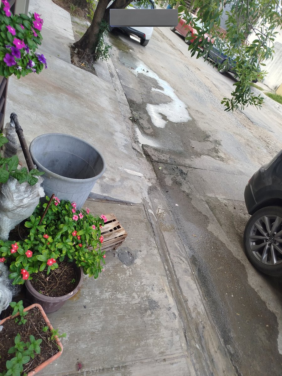 mnlo176's tweet photo. @elnorte @info7mty @telediariomty solicito apoyo para presiónar a @ayd_monterrey tiene más de 6 meses con el drenaje colapsado y no dan solución, el drenaje está brotando por los registros de las casas, en la calle Montañas Rocallosas de la colonia Francisco G. Sada en SanNicolas https://t.co/RgQarPhPfH