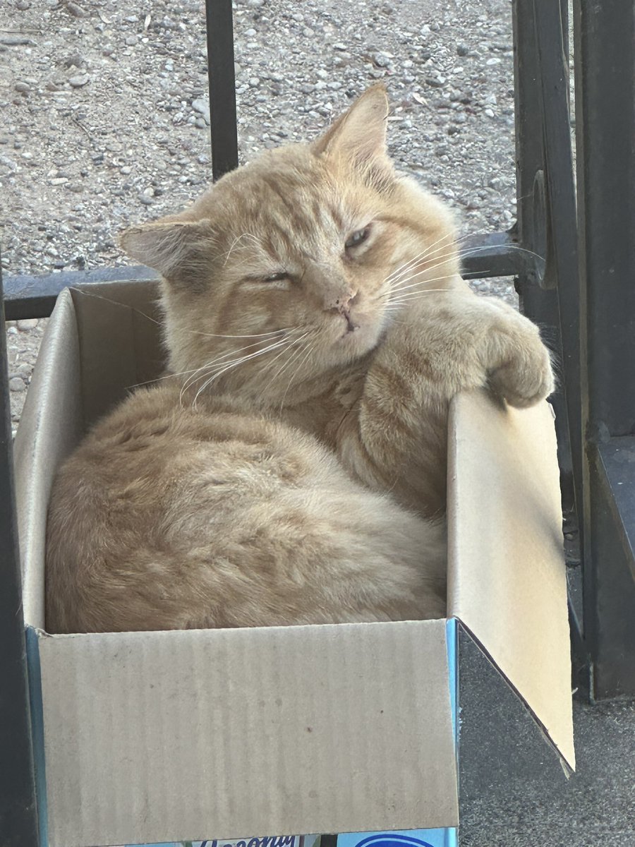 BrentBurmaster's tweet photo. Here’s some Dick pics. Oh by the way my cat’s name is Dick https://t.co/SCURguJHAL