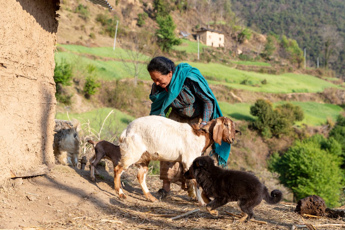 UNDP in Nepal tweet media