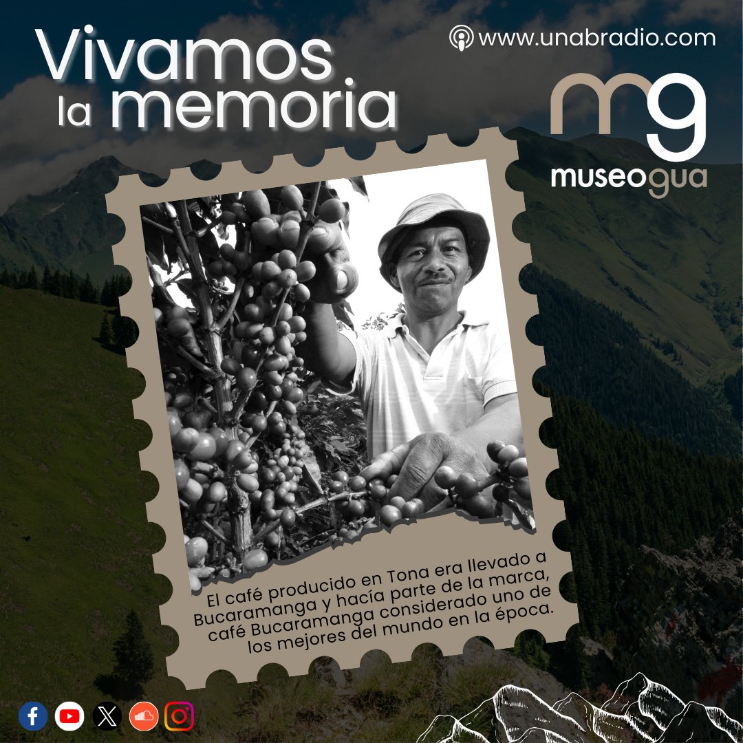 UnabRadio's tweet photo. #PodcastUnabRadio 🎙 - Hoy en Vivamos la Memoria hablamos del café producido en Tona. Este era llevado a Bucaramanga y hacía parte de la marca, café Bucaramanga considerado uno de los mejores del mundo en la época.
Escúchalo aquí 👉 https://t.co/ovtg7bY4PE https://t.co/VBIzPmenE0
