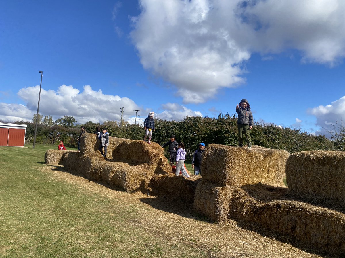 Jennifer LaTarte (@jlatarte) on Twitter photo 