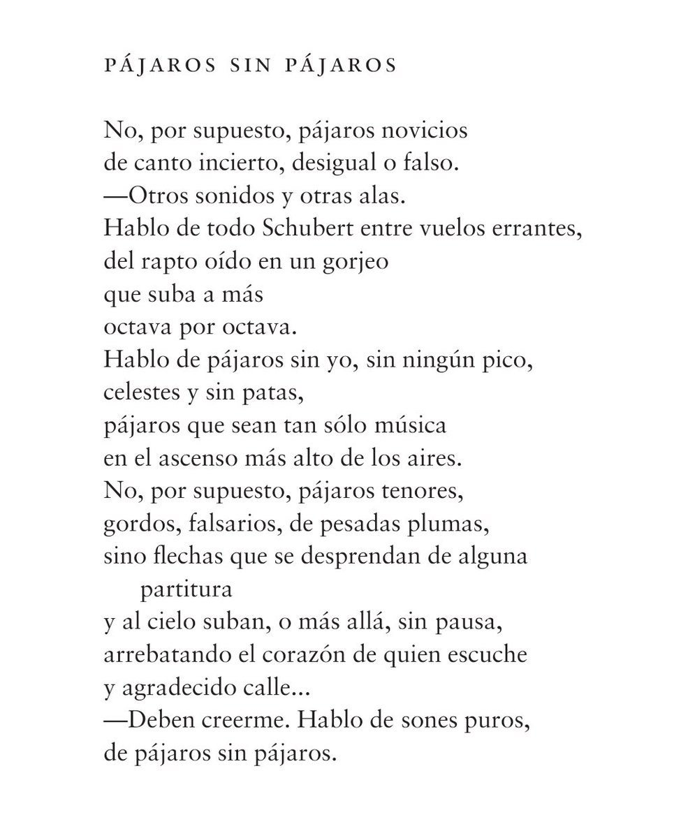"Pájaros sin pájaros"
#EugenioMontejo
#Venezuela