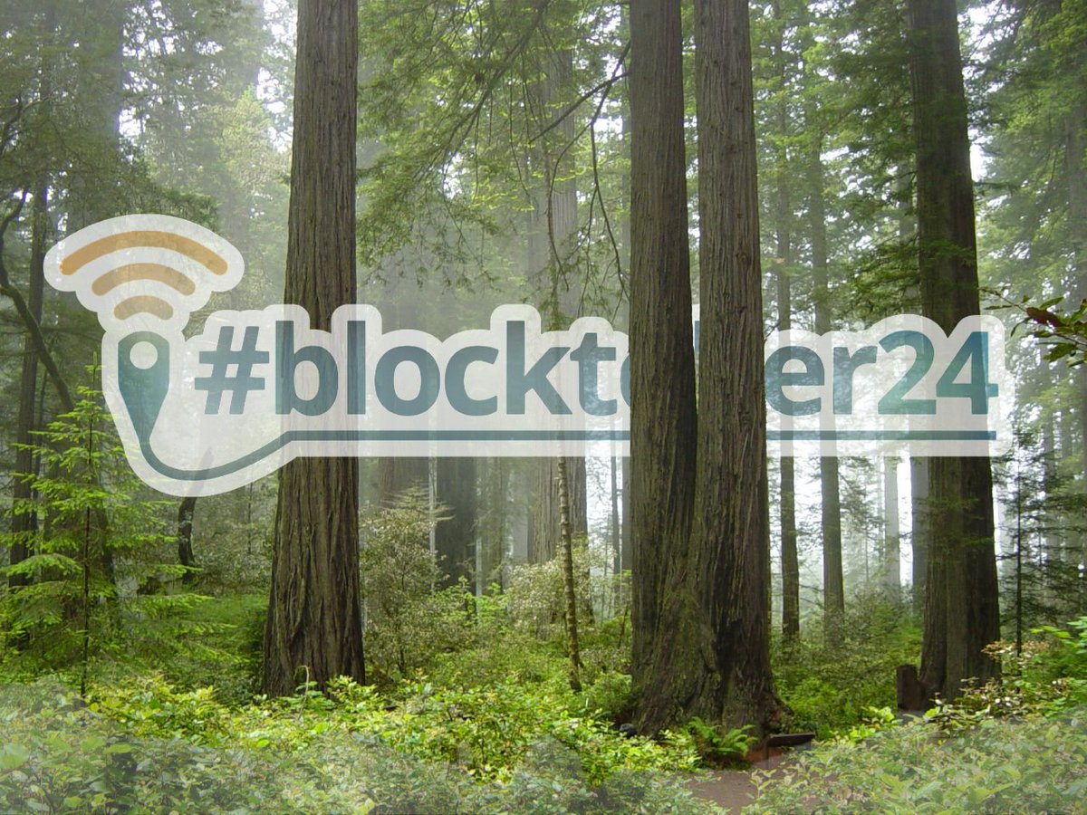 Jeff Gadsden (@jeffgadsden) on Twitter photo Hiya it’s the 17th of #Blocktober24 and today I want to talk about sharing. Yes, back to pre-school. Every now and again I’ll get into a discussion with trainees and I’ll say, “Hold on, let me pull up a paper for you.” I’ve got a bunch that I go to frequently. <a href="/Duke_Anesthesia/">Duke Anesthesiology</a> Hiya it’s the 17th of #Blocktober24 and today I want to talk about sharing. Yes, back to pre-school. Every now and again I’ll get into a discussion with trainees and I’ll say, “Hold on, let me pull up a paper for you.” I’ve got a bunch that I go to frequently. <a href="/Duke_Anesthesia/">Duke Anesthesiology</a>