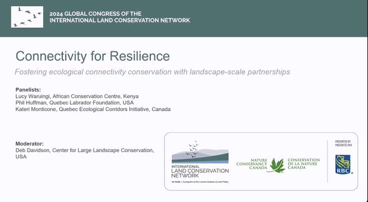 Ecological connectivity through sustainable landscape-scale partnerships enhances #landscapes resilience.   

Today, ACC ED <a href="/LWaruingi/">Lucy WARUINGI</a> joined <a href="/PhilHuffmanVT/">Phil Huffman</a> &amp; other global conservation leaders <a href="/Largelandscapes/">Center for Large Landscape Conservation</a> <a href="/NCC_CNC/">NatureConservancy.ca | Conservationdelanature.ca</a> for the 2024 Global Congress of <a href="/theILCN/">International Land Conservation Network</a> 

#Resilience