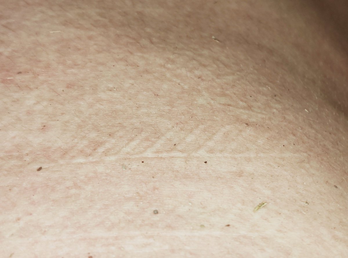 dm_suby's tweet image. 这次除了一些凹凸不平的花纹以及红色的印子，好像还多了很多灰色的东西🤔🤔

#男m #女s #踩踏 #恋足 #踩射 #鞋底 #上海 #调教 #现实 #女王 #踢裆 #乘骑 #舔鞋 #狗奴 #鞋印 #sm #女主