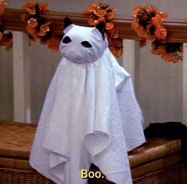 BorderlinePlus's tweet photo. 14 days until Halloween! https://t.co/zYJGN7OUBR