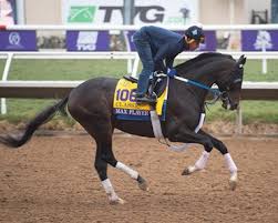 HORSERACING1002's tweet photo. MAX PLAYER๐บ๐ธ2017
(HONOR CODE - FOOLS IN LOVE BY NOT FOR LOVE)
#MaxPlayer
B/ K & G Stables (Ky) April 28,2017
O/ Hall George E. & Annestes
Racing
T/ Steven M. Asmussen
KEESEP $150,000 RNA
16-4-1-2---$1,551,266
Jockey Club Gold Cup G1, Suburban S G2, Withers S G3
3rd Belmont S G1, Travers S G1.
Stand Annestes Farm