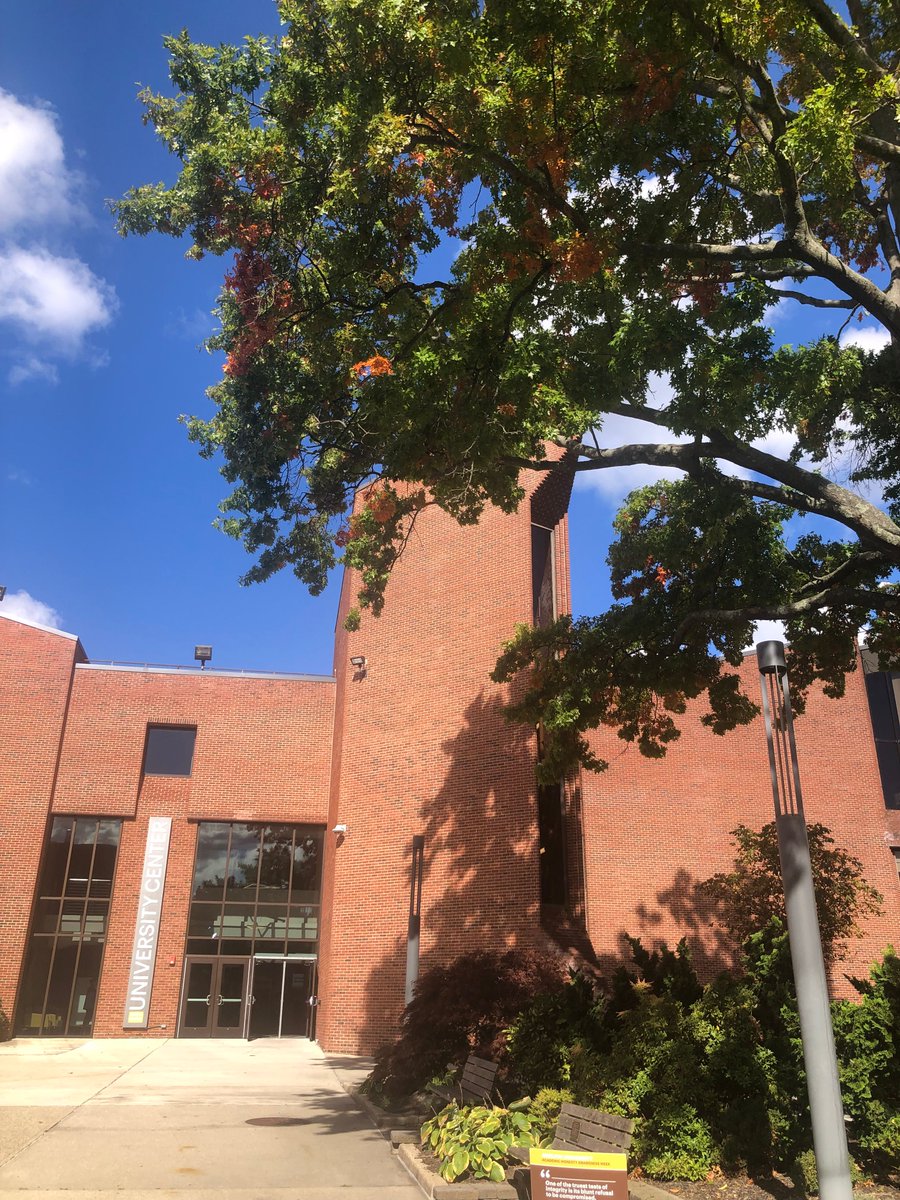 AdelphiU's tweet image. Our campus is starting to echo our colors: Brown and Gold! We love autumn at Adelphi. #AdelphiLife #MyAdelphi