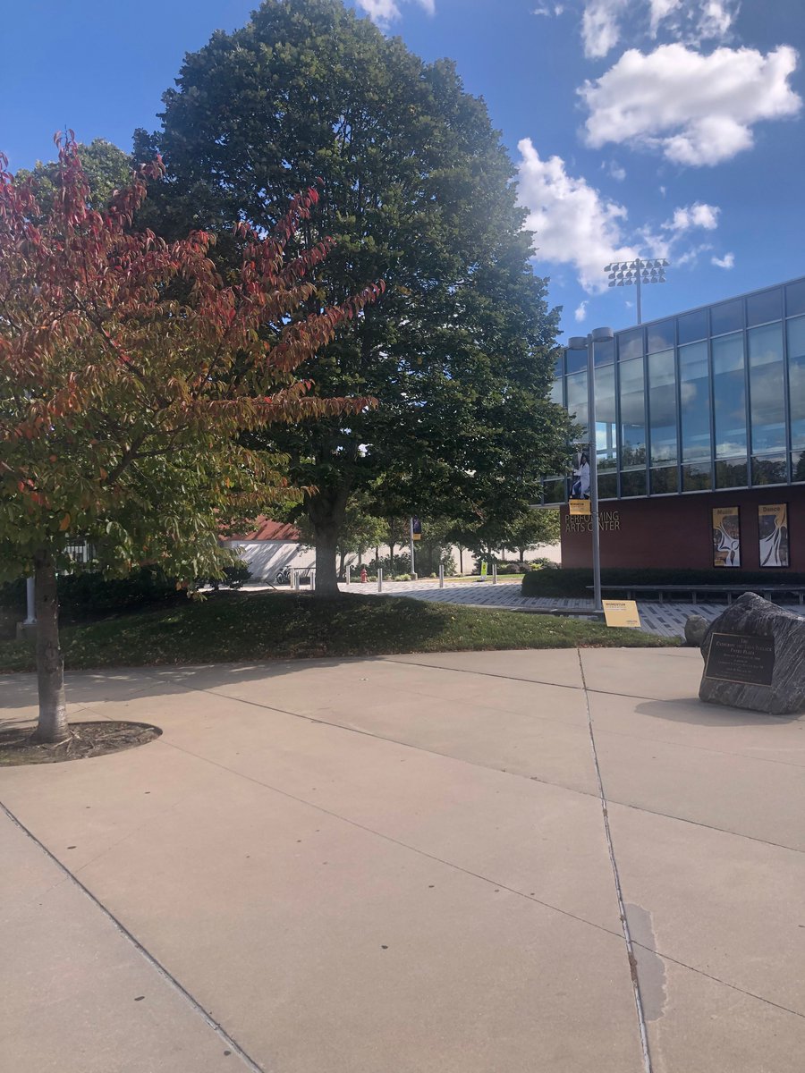 AdelphiU's tweet image. Our campus is starting to echo our colors: Brown and Gold! We love autumn at Adelphi. #AdelphiLife #MyAdelphi