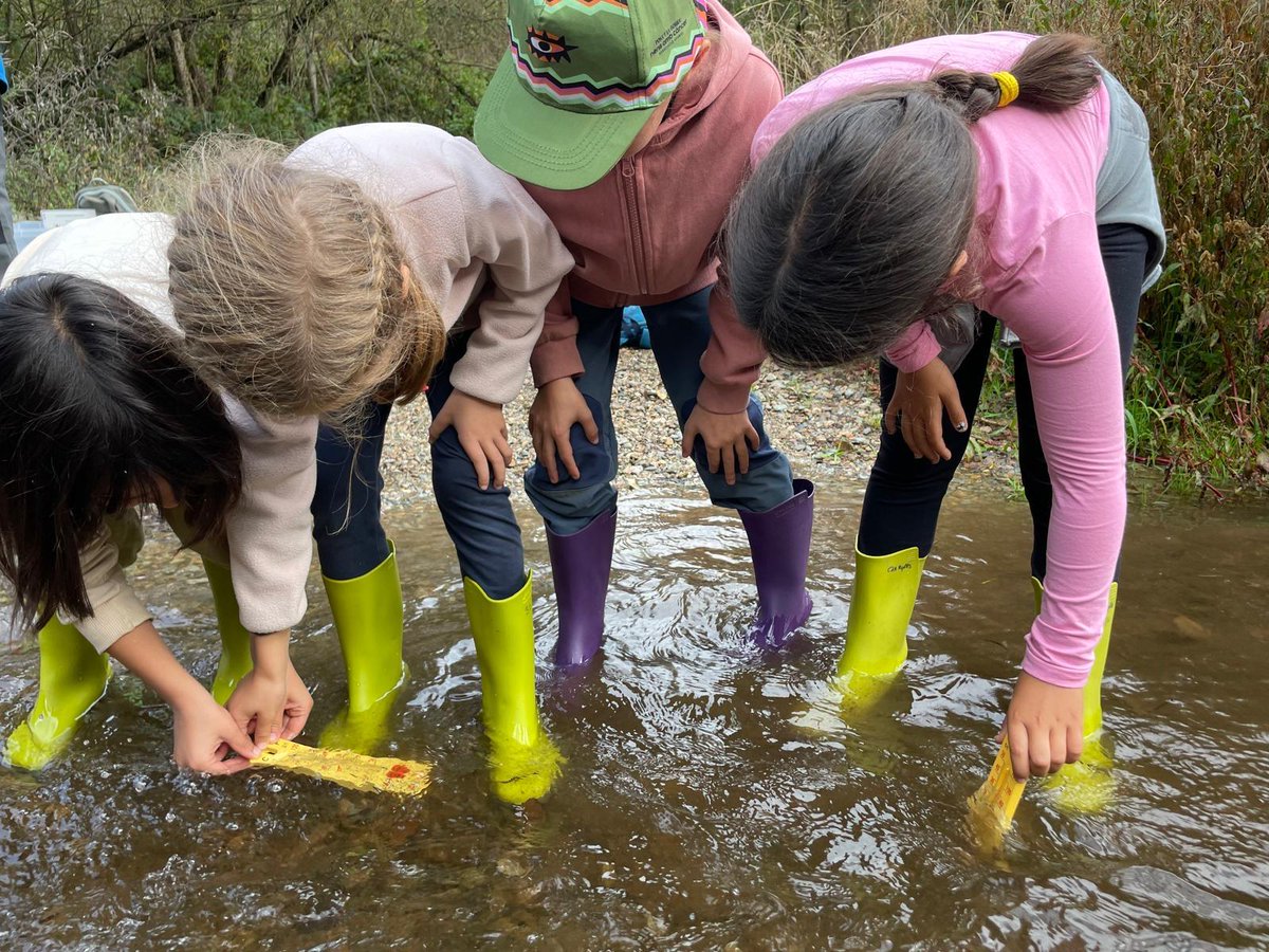 L'últim dia ens hem posat dins del riu Rigard, per conèixer la seva biodiversitat. Han estat uns dies plens d'emocions, aprenentatges i convivència.

#escolaelpuig #primària #campdaprenentatge <a href="/CdARipolles/">SE CdA del Ripollès</a>