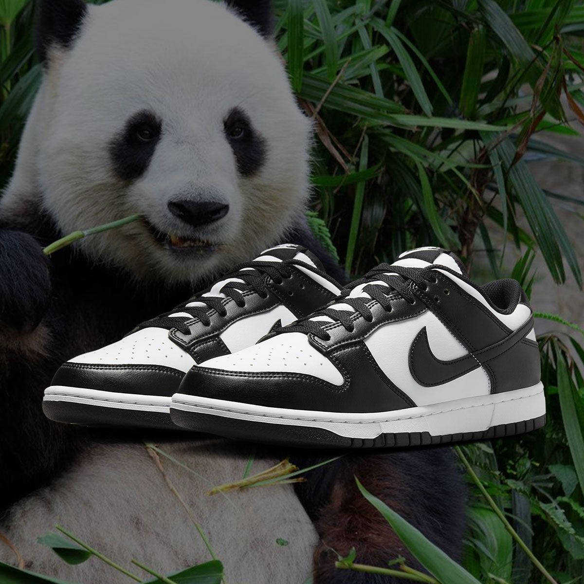 dunk low panda white laces